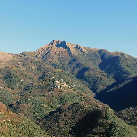 Holiday home Le Silerchie Camaiore